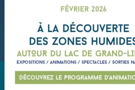A la découverte des zones humides autour du Lac de Grand Lieu
