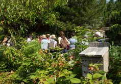 Centre Permanent d’Initiatives pour l’Environnement