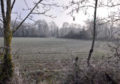 1-la-limouziniere