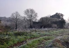 11-la-limouziniere