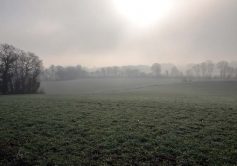 15-la-limouziniere