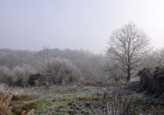 17-la-limouziniere