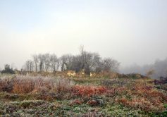 20-la-limouziniere
